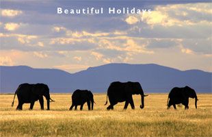 picture of southern africa