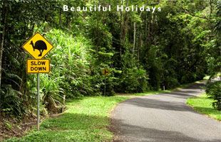 atherton tablelands beach scene