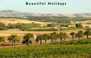 scene from the barossa valley australia