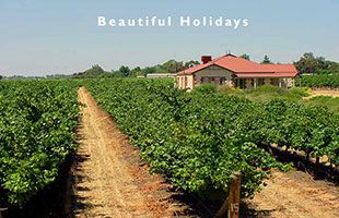 picture of fleurieu peninsula south australia