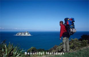 picture of hawkes bay in new zealand